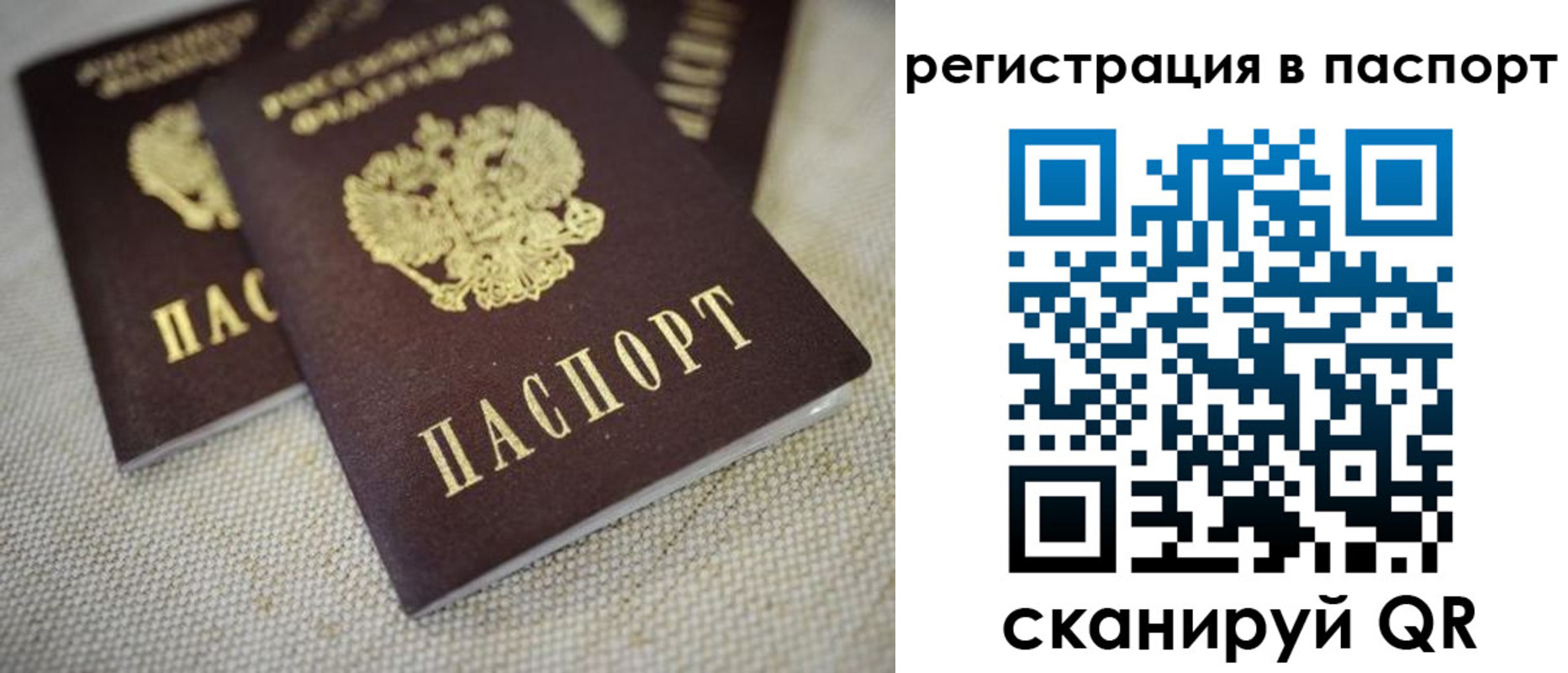 прописка гарантия в Ингушетии